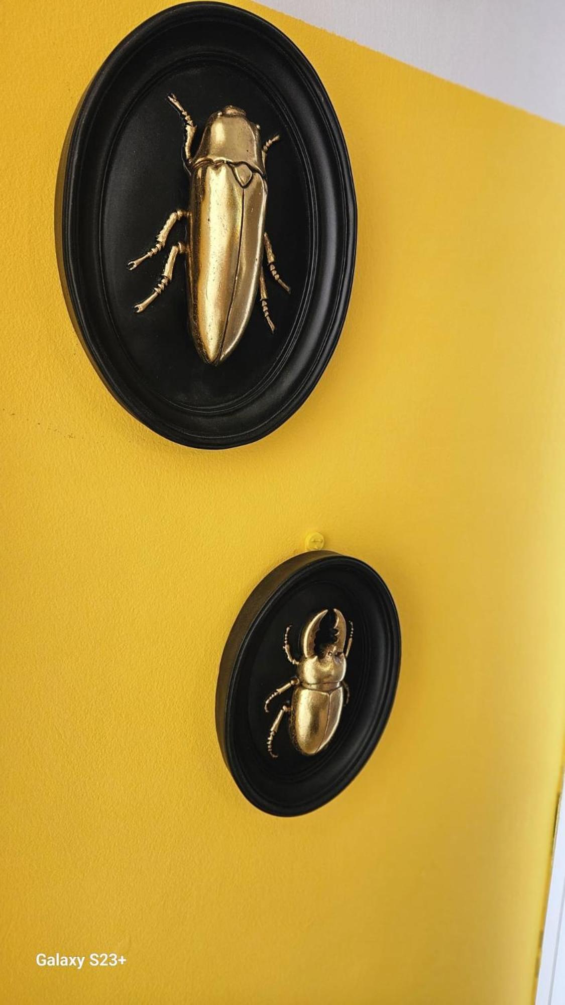 Apartamento Yellow Гарруча Екстер'єр фото